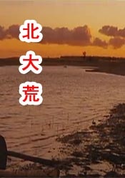 大香伊人中文字幕精品