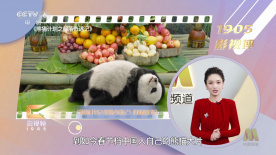 国产又粗又猛又黄又爽视频